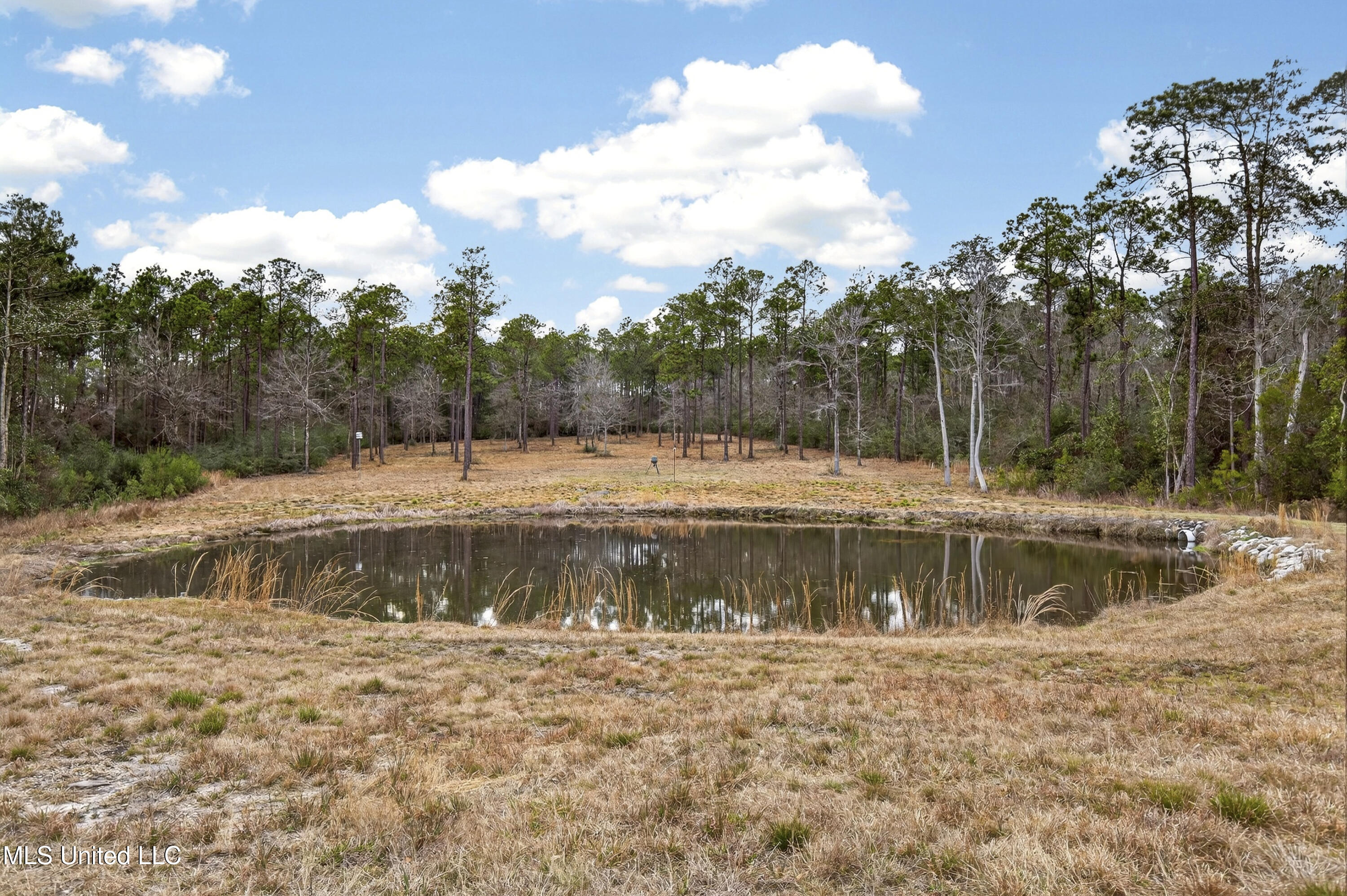 14171 Jim Byrd Road Biloxi, MS 39532 - Photo 30 of 47 14171JimByrdRd-42
