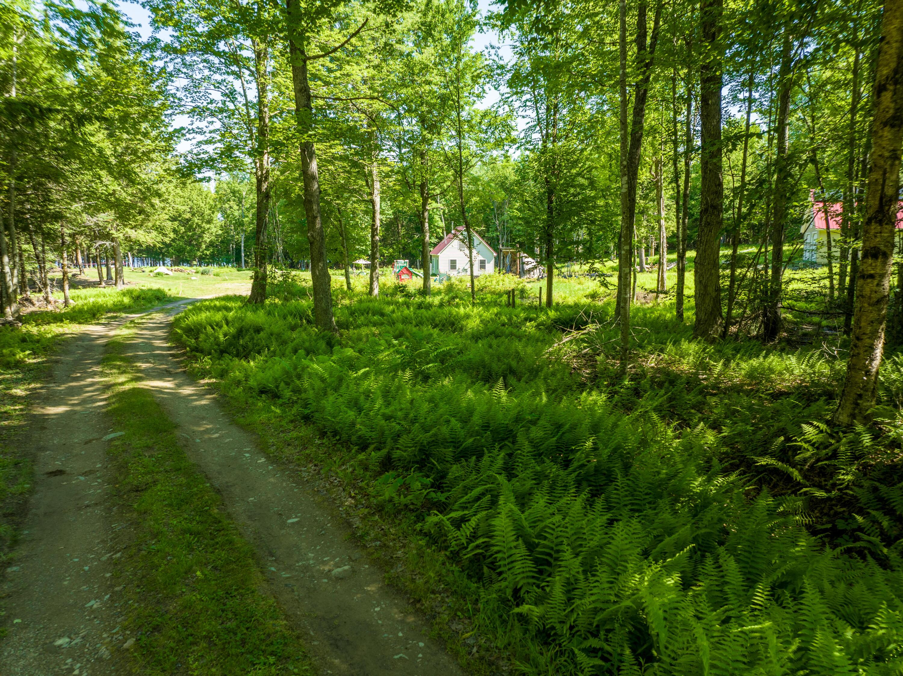 185 Durham Bridge Road Newport, ME 04953 - Photo 67 of 116 Driveway into property...