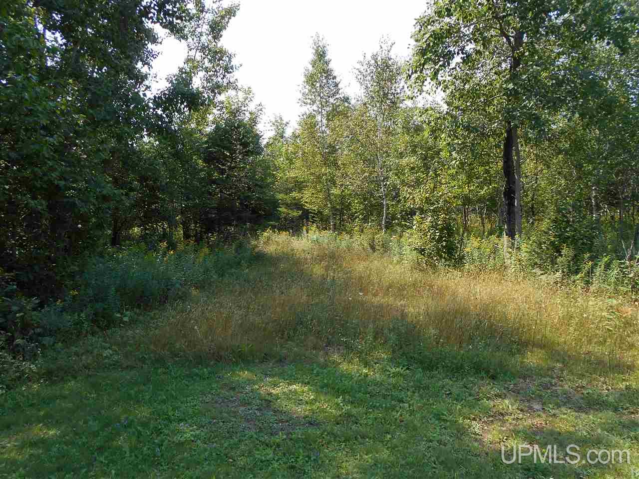 1227 Cooper Road Gulliver, MI 49840 - Photo 12 of 21 Gallery Image 12