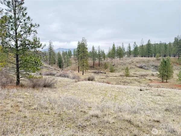 a view of a dry yard with wooden fence