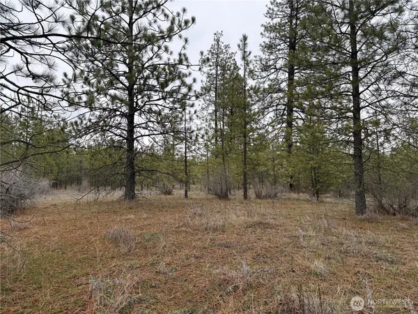 a view of outdoor space and view of trees