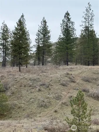 a fire hydrant in the middle of a field