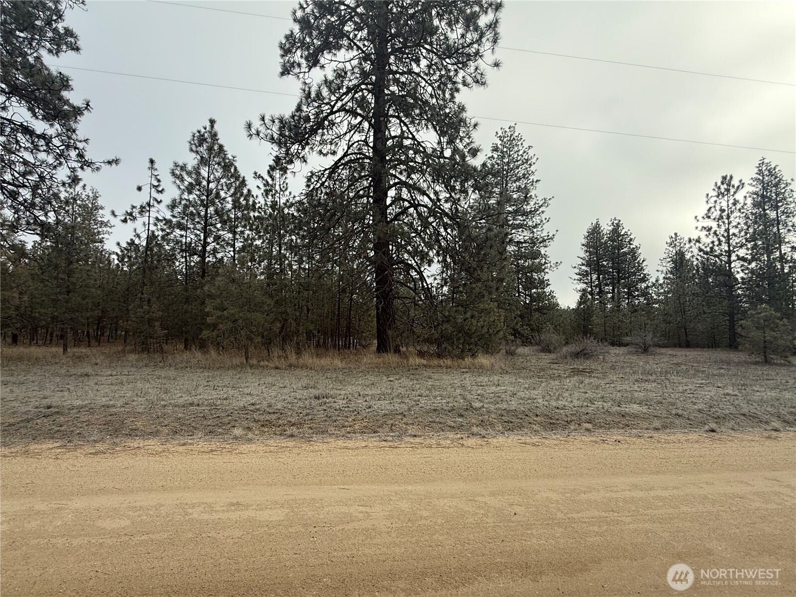 0 Cayuse Cove Road North Davenport, WA 99122 - Photo 3 of 6