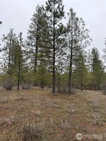 a view of outdoor space and green space