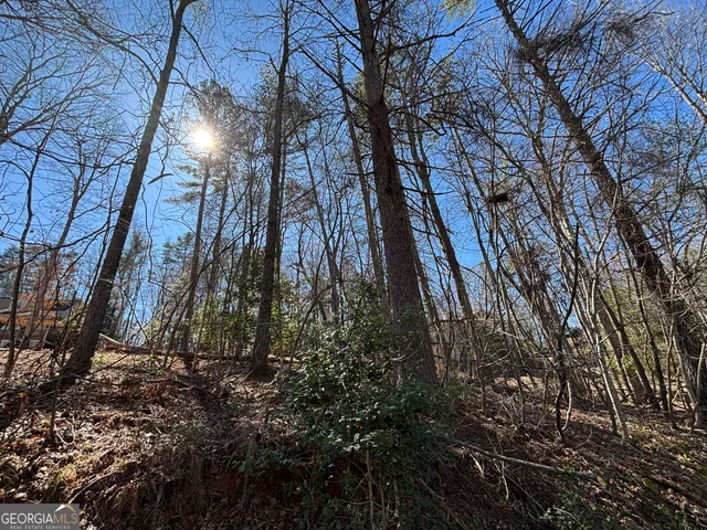 a backyard of a building