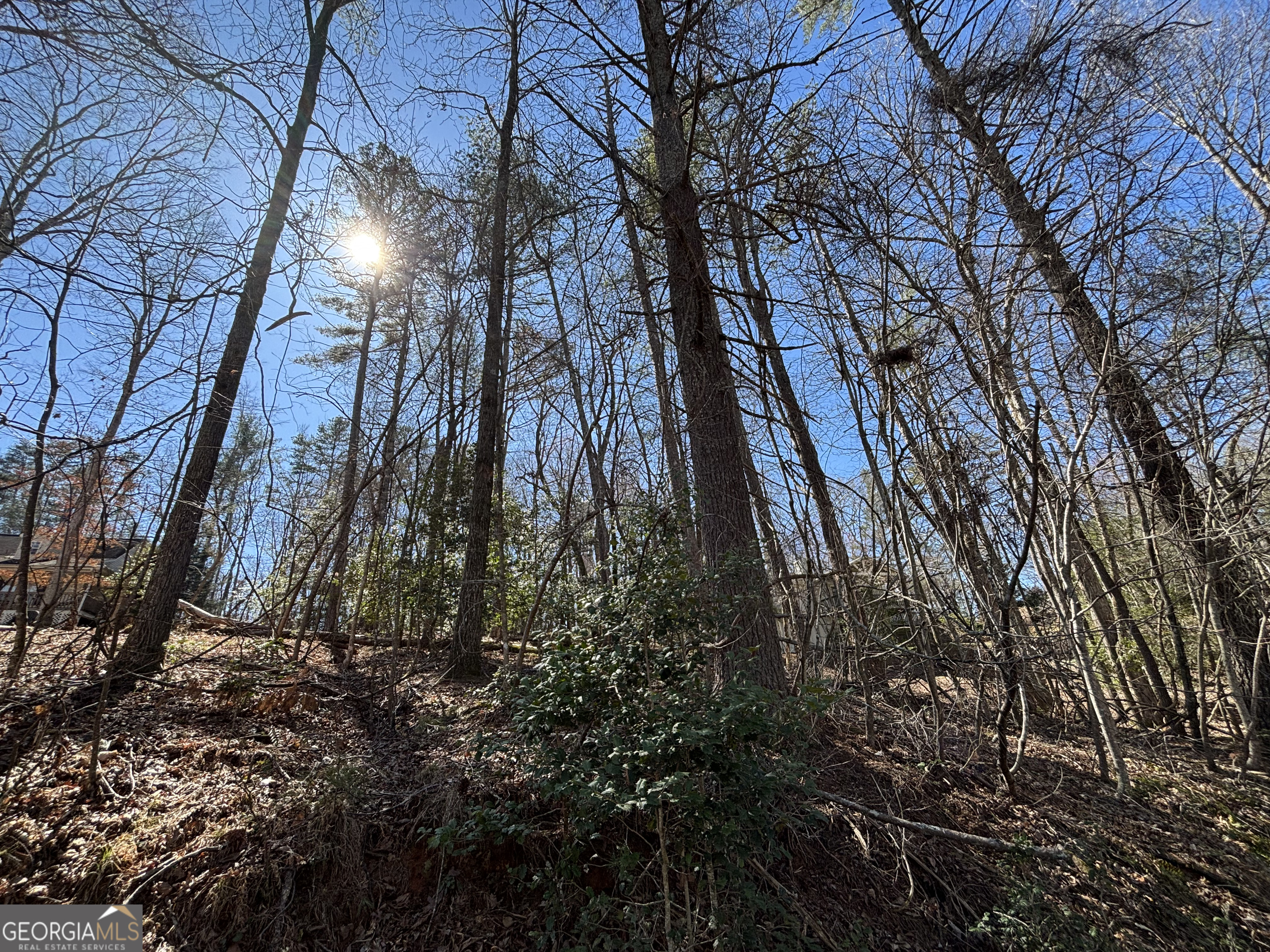 0 Waterfall Drive, Unit 9 Cleveland, GA 30528 - Photo 3 of 11 a backyard of a building