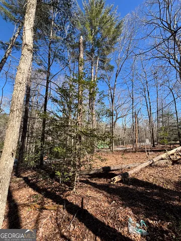 a view of a yard with plants