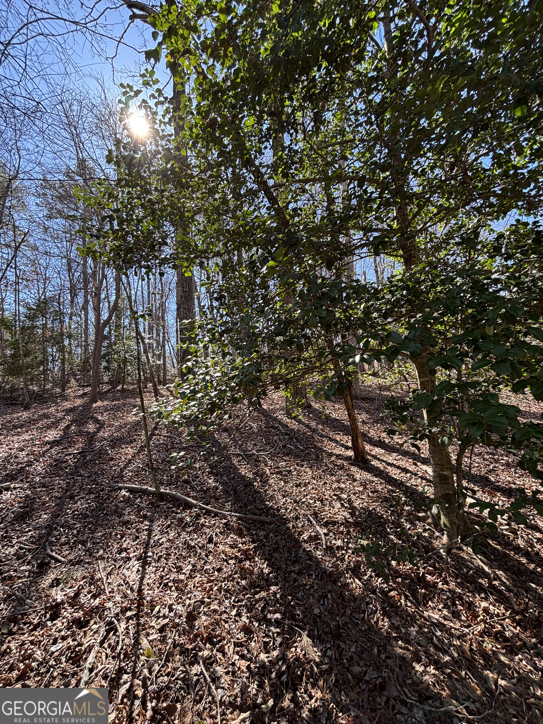 0 Waterfall Drive, Unit 9 Cleveland, GA 30528 - Photo 6 of 11 a view of a tree