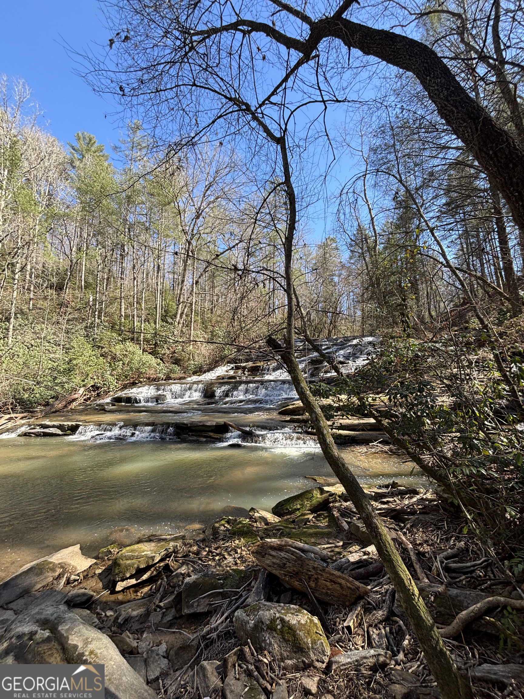 0 Waterfall Drive, Unit 9 Cleveland, GA 30528 - Photo 9 of 11 a view of a lake with a tree