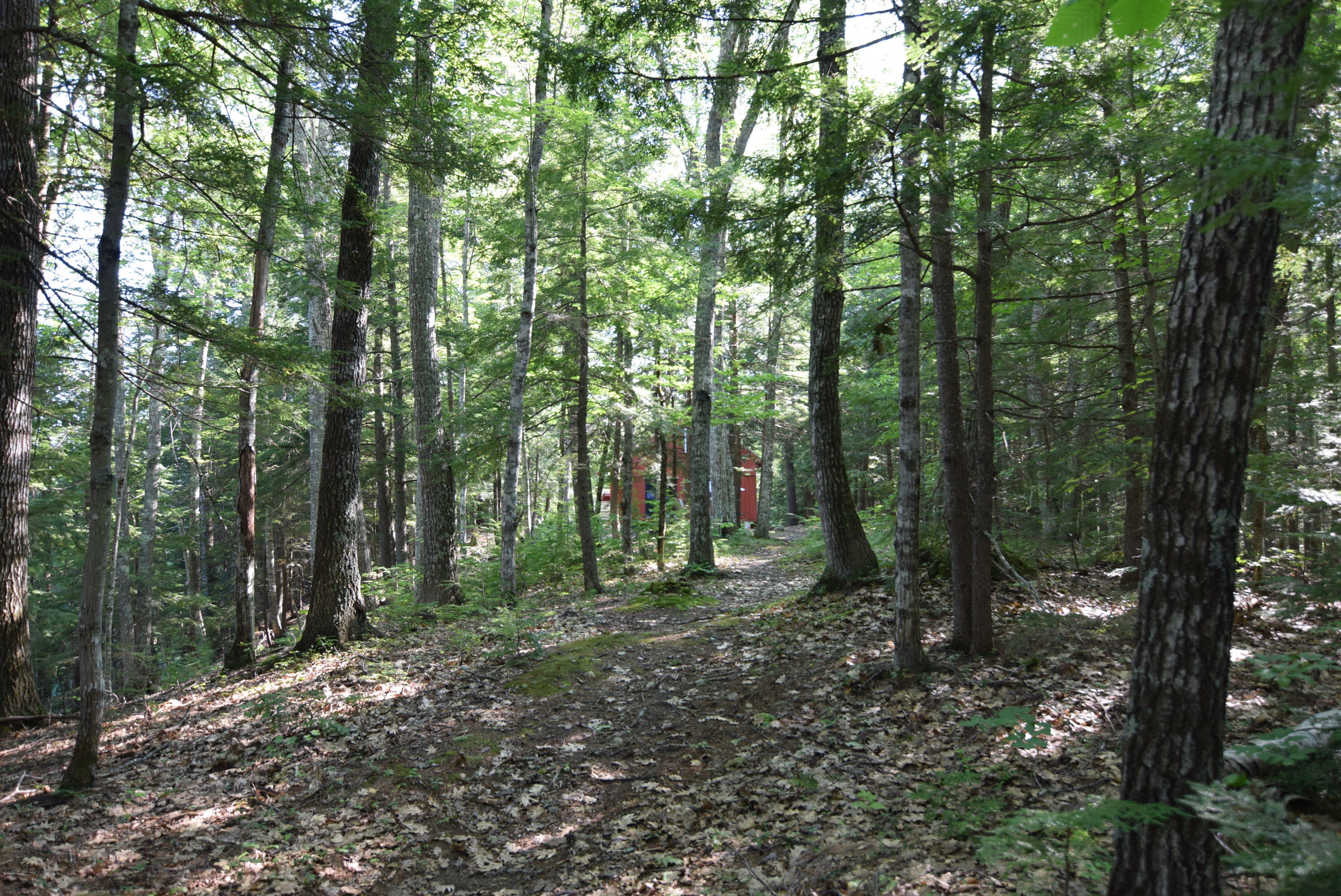 236 Chesterville Ridge Road Kents Hill, ME 04349 - Photo 29 of 41 29-island scenery