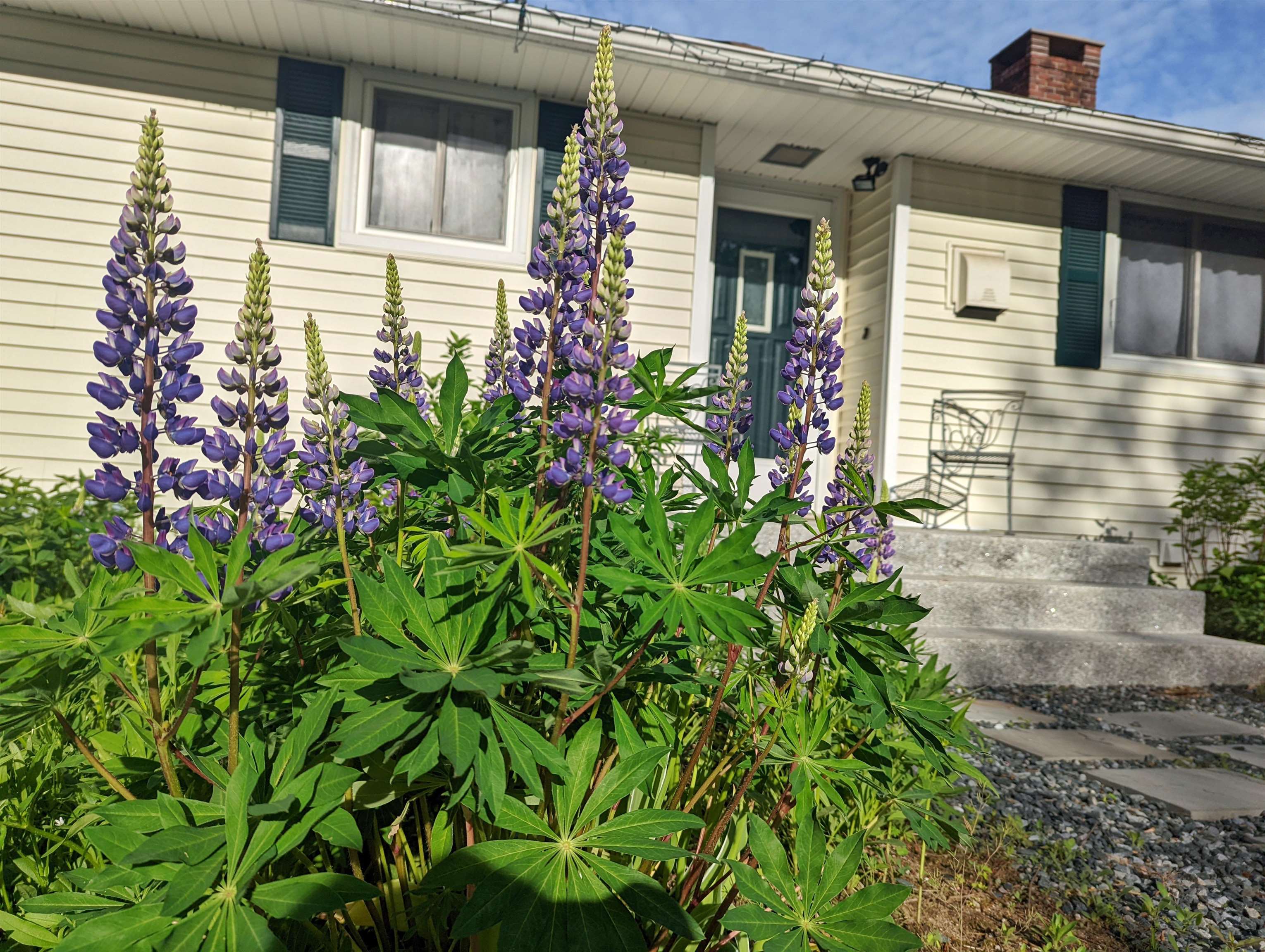 123 Mountain Road Concord, NH 03301 - Photo 37 of 40