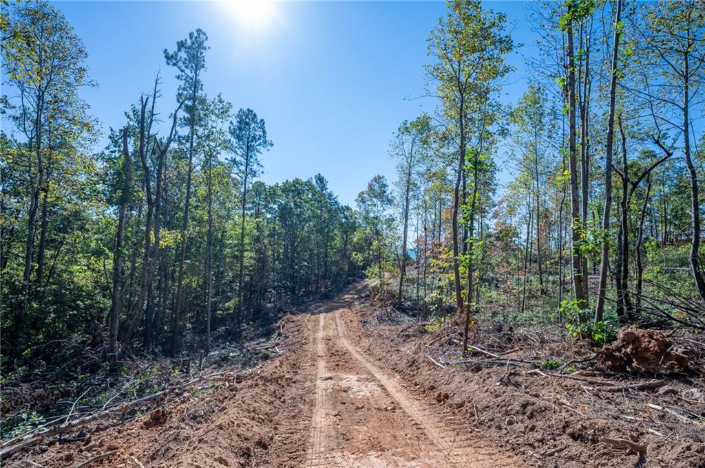 3887 Hwy 140 Ne Rydal Ga 30171 Northeast Rydal, GA 30171 - Photo 12 of 18 a view of a forest with trees
