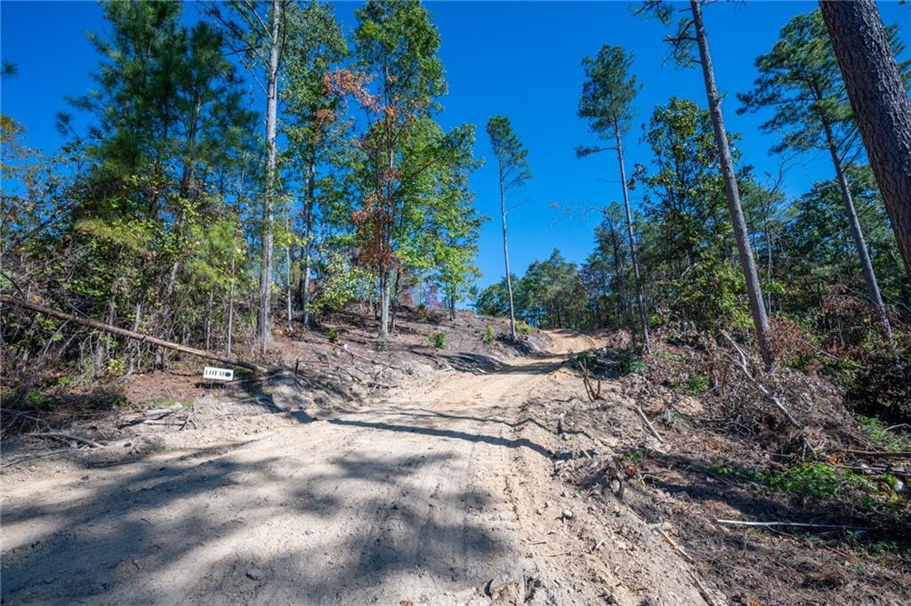 3887 Hwy 140 Ne Rydal Ga 30171 Northeast Rydal, GA 30171 - Photo 13 of 17