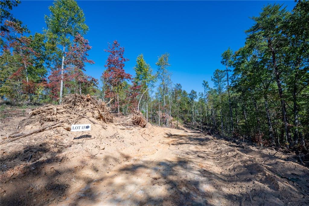 3887 Hwy 140 Ne Rydal Ga 30171 Northeast Rydal, GA 30171 - Photo 13 of 18 a view of a covered with trees in front of it