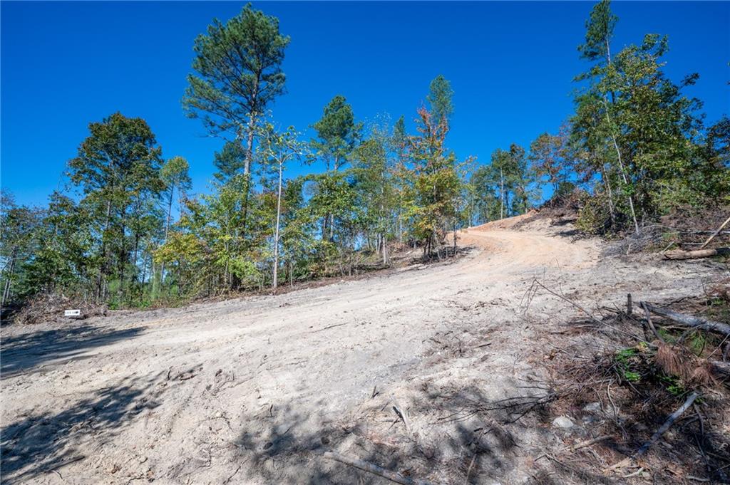 3887 Hwy 140 Ne Rydal Ga 30171 Northeast Rydal, GA 30171 - Photo 15 of 18 a view of a road with a plant in it
