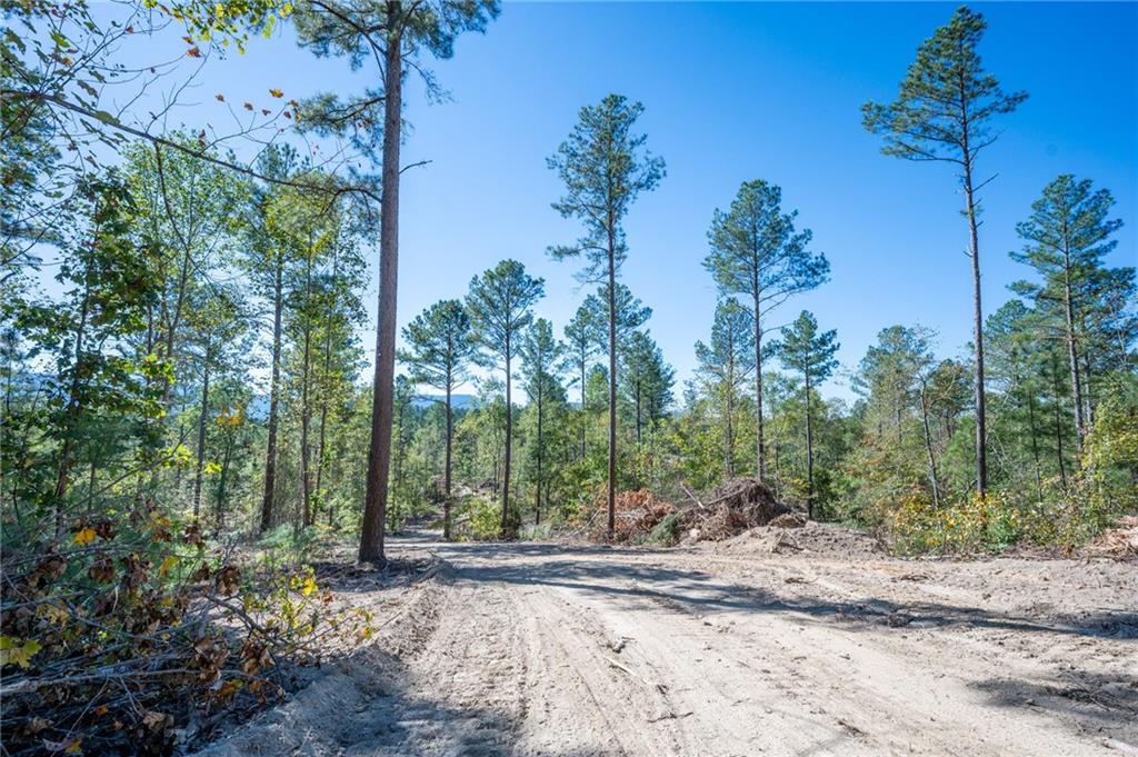 3887 Hwy 140 Ne Rydal Ga 30171 Northeast Rydal, GA 30171 - Photo 16 of 18 a view of a yard with plants and trees