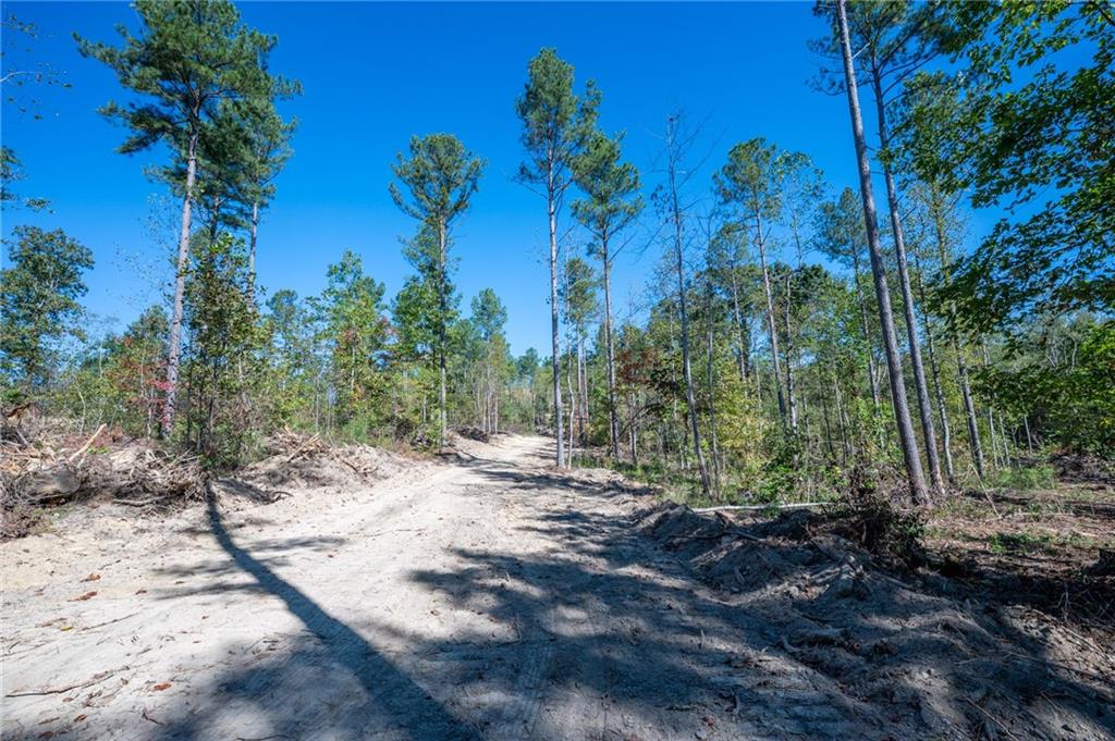 3887 Hwy 140 Ne Rydal Ga 30171 Northeast Rydal, GA 30171 - Photo 17 of 18 a view of a yard with plants and a trees