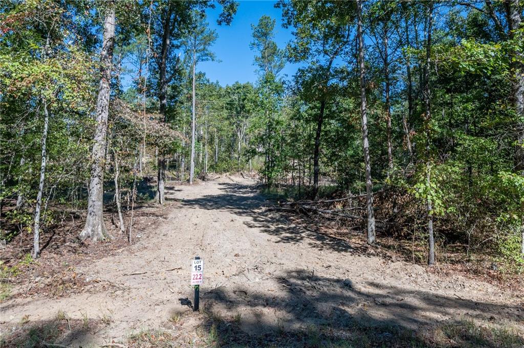 3887 Hwy 140 Ne Rydal Ga 30171 Northeast Rydal, GA 30171 - Photo 18 of 18 a view of a forest with trees