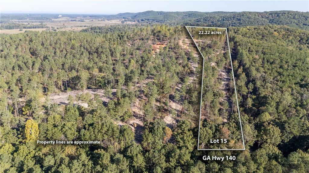 3887 Hwy 140 Ne Rydal Ga 30171 Northeast Rydal, GA 30171 - Photo 2 of 17