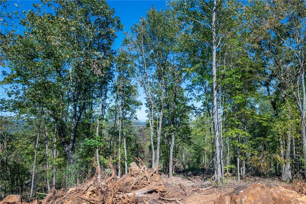 3887 Hwy 140 Ne Rydal Ga 30171 Northeast Rydal, GA 30171 - Photo 6 of 18 a view of a forest with trees