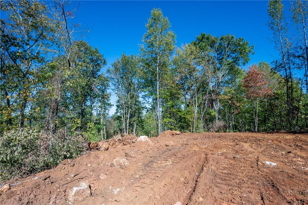 3887 Hwy 140 Ne Rydal Ga 30171 Northeast Rydal, GA 30171 - Photo 7 of 18 a view of a yard with trees