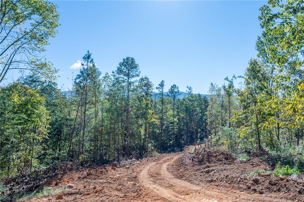 3887 Hwy 140 Ne Rydal Ga 30171 Northeast Rydal, GA 30171 - Photo 9 of 18 a view of a forest filled with trees