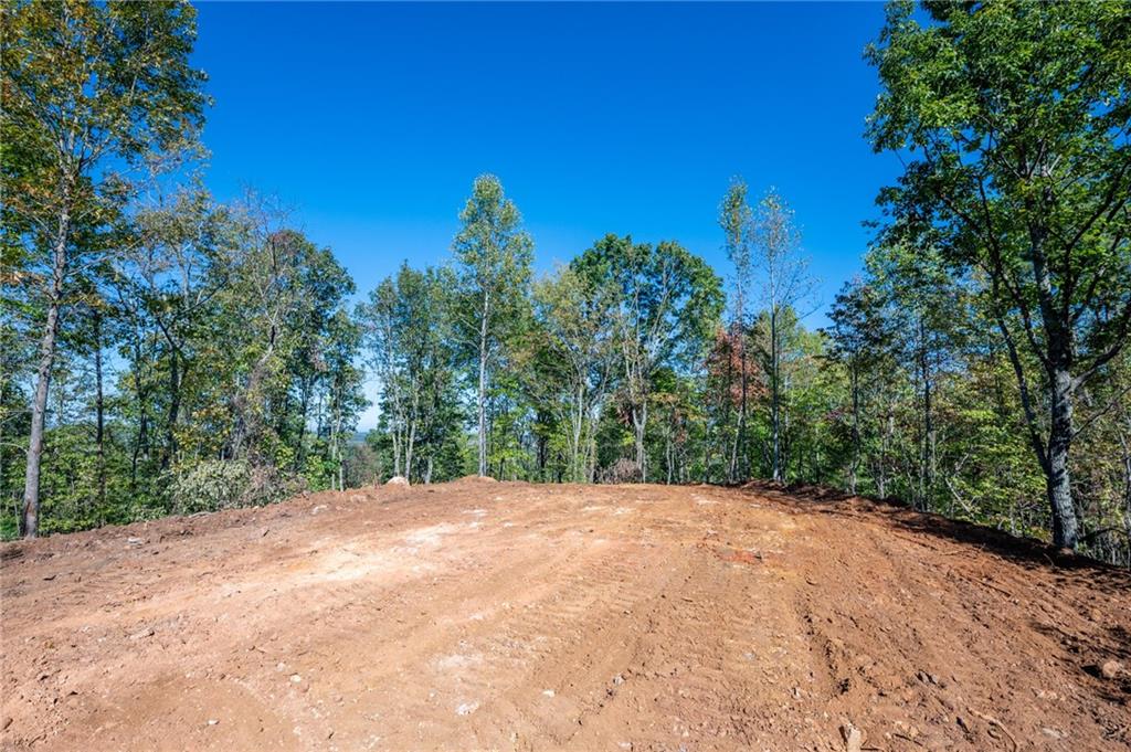3887 Hwy 140 Ne Rydal Ga 30171 Northeast Rydal, GA 30171 - Photo 10 of 18 a view of a big yard with trees in the background