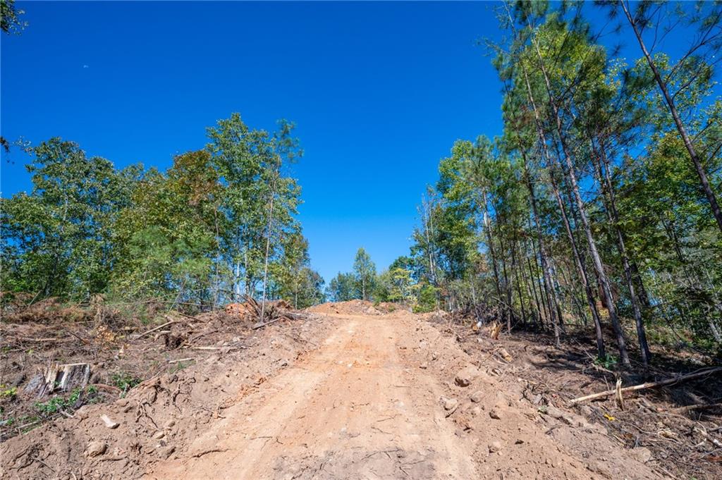 3887 Hwy 140 Ne Rydal Ga 30171 Northeast Rydal, GA 30171 - Photo 10 of 17