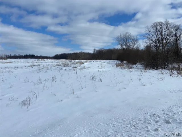 $64,900 | 4663 Freeman Road, Royalton, NY 14105