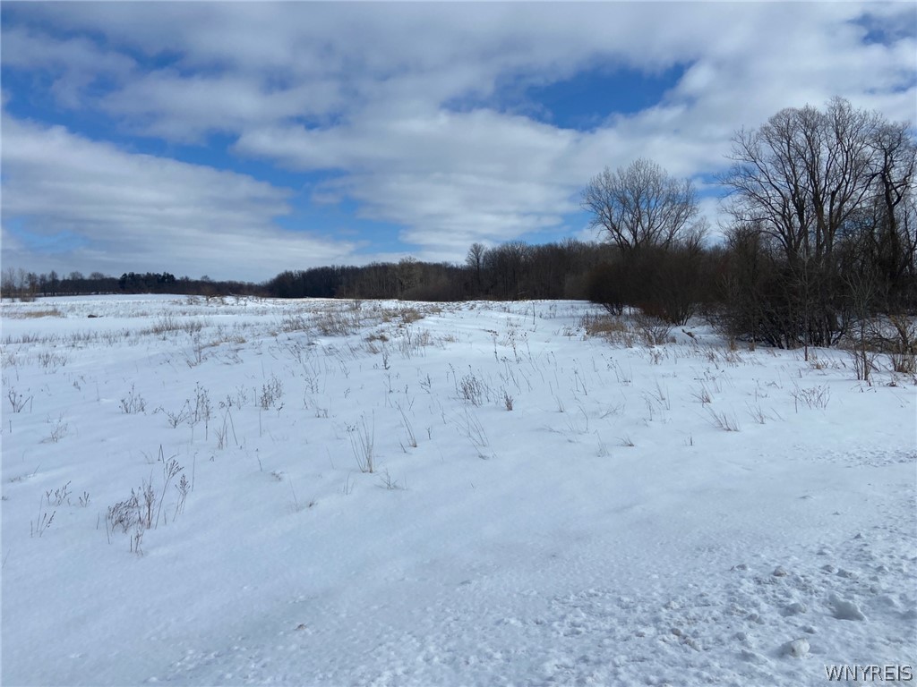 4663 Freeman Road Royalton, NY 14105 - Photo 1 of 2