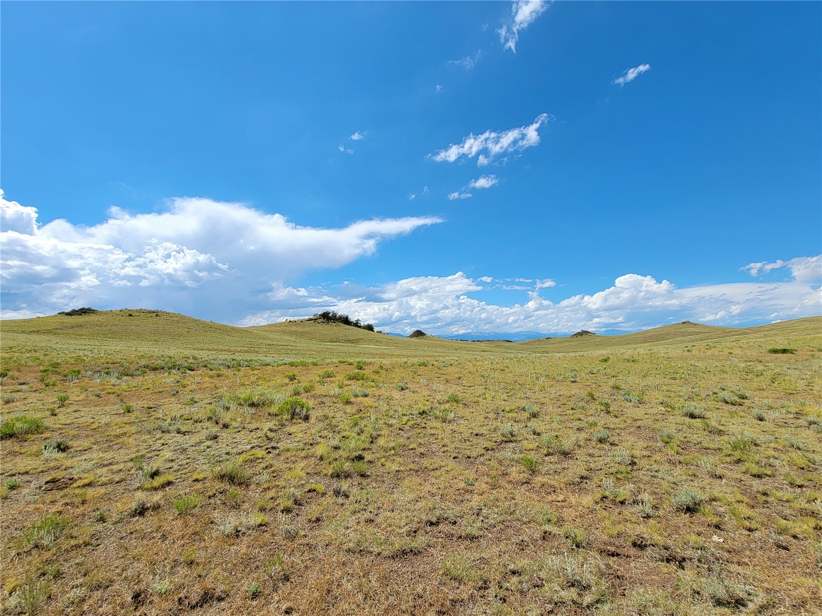 3999 Delaware Road Hartsel, CO 80449 - Photo 15 of 23 View of mountain background featuring rural landscape