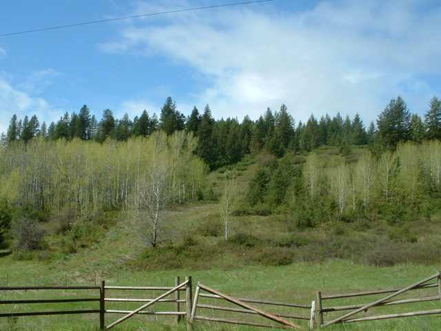 645 A Dry Gulch Road Colville, WA 99114 - Photo 2 of 5 Gallery Image 2