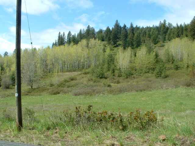 645 A Dry Gulch Road Colville, WA 99114 - Photo 3 of 5 Gallery Image 3