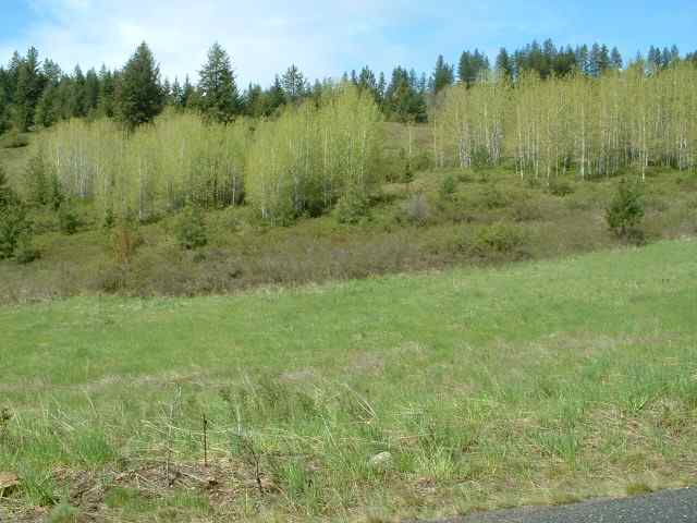 645 A Dry Gulch Road Colville, WA 99114 - Photo 4 of 5 Gallery Image 4