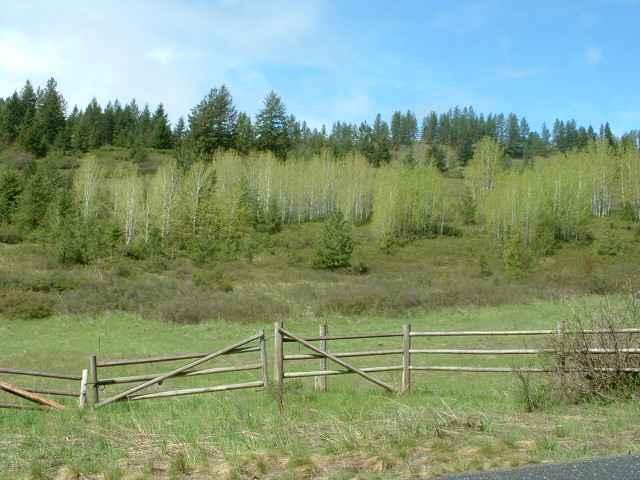 645 A Dry Gulch Road Colville, WA 99114 - Photo 5 of 5 Gallery Image 5