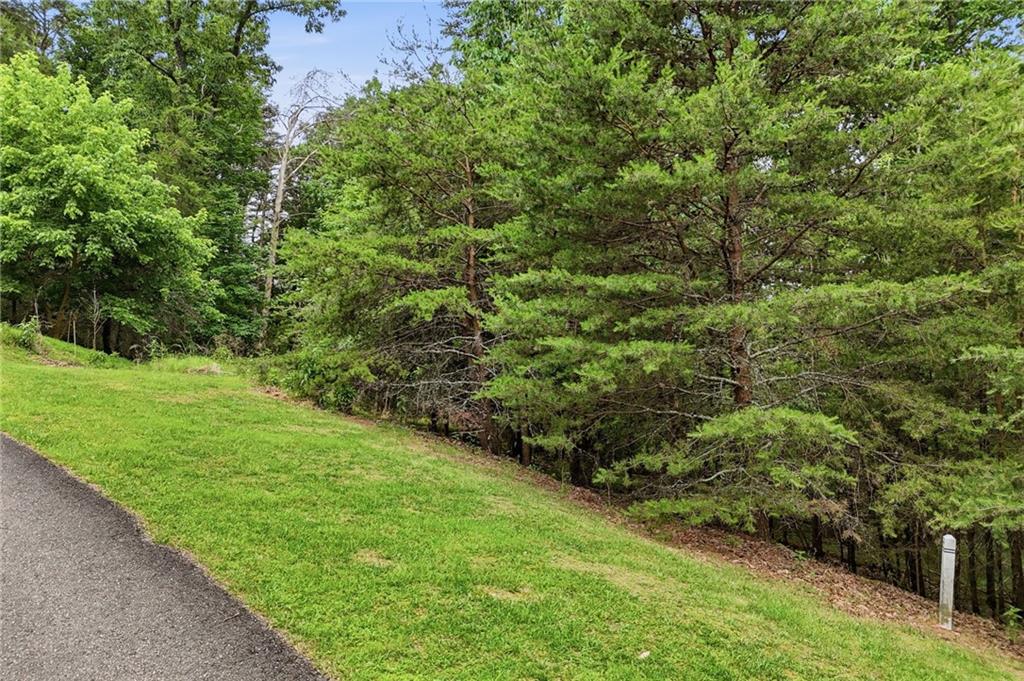 0 Owl Ridge Way Jasper, GA 30143 - Photo 17 of 22 a view of a garden with a building