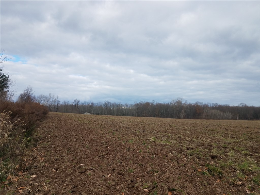 0 Hutchings Road Rochester, NY 14624 - Photo 2 of 5