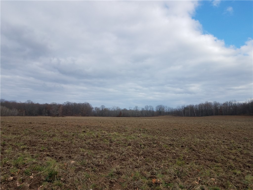 0 Hutchings Road Rochester, NY 14624 - Photo 4 of 5