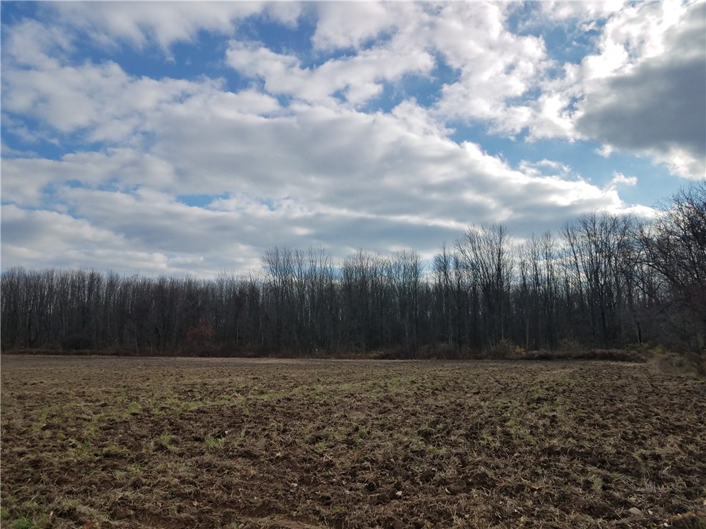 0 Hutchings Road Rochester, NY 14624 - Photo 5 of 5