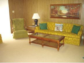 118 Blueberry Road Charlottesville, VA 22911 - Photo 5 of 8 a living room with furniture and a lamp