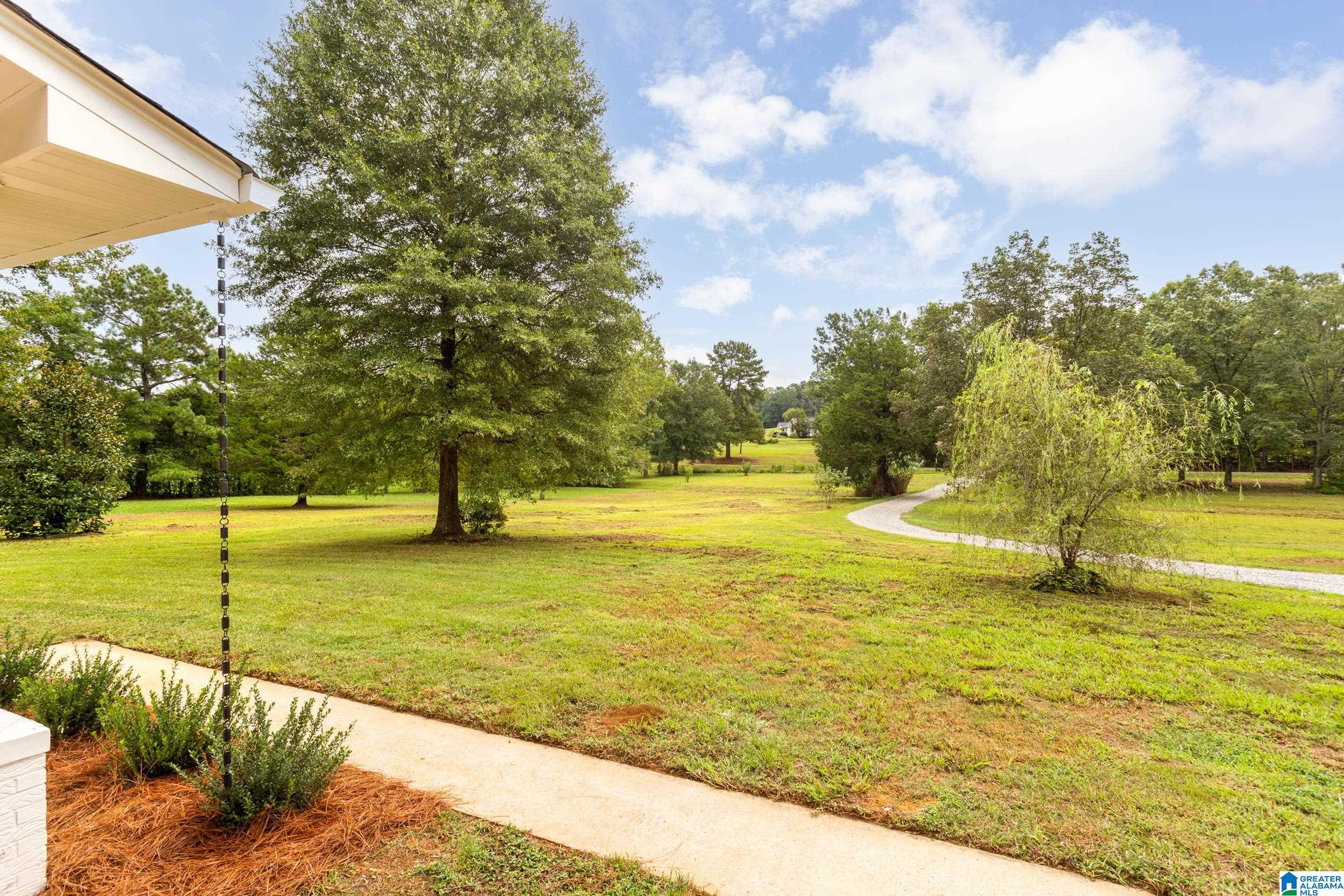 711 Wolf Creek Road South Pell City, AL 35128 - Photo 38 of 40