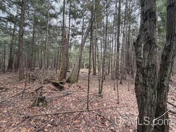 $40,000 | Tbd K Road, Bark River, MI 49807