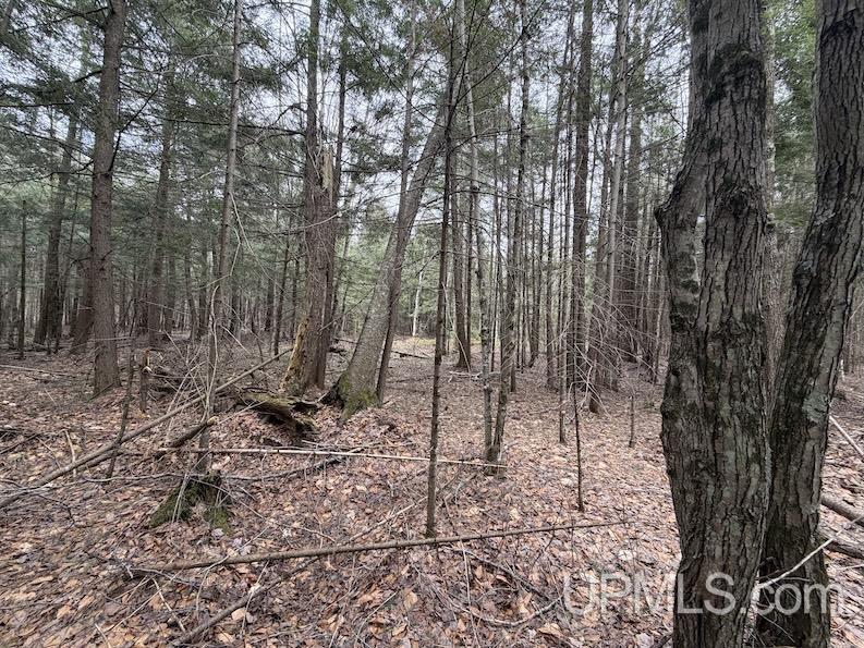 Tbd K Road Bark River, MI 49807 - Photo 1 of 8
