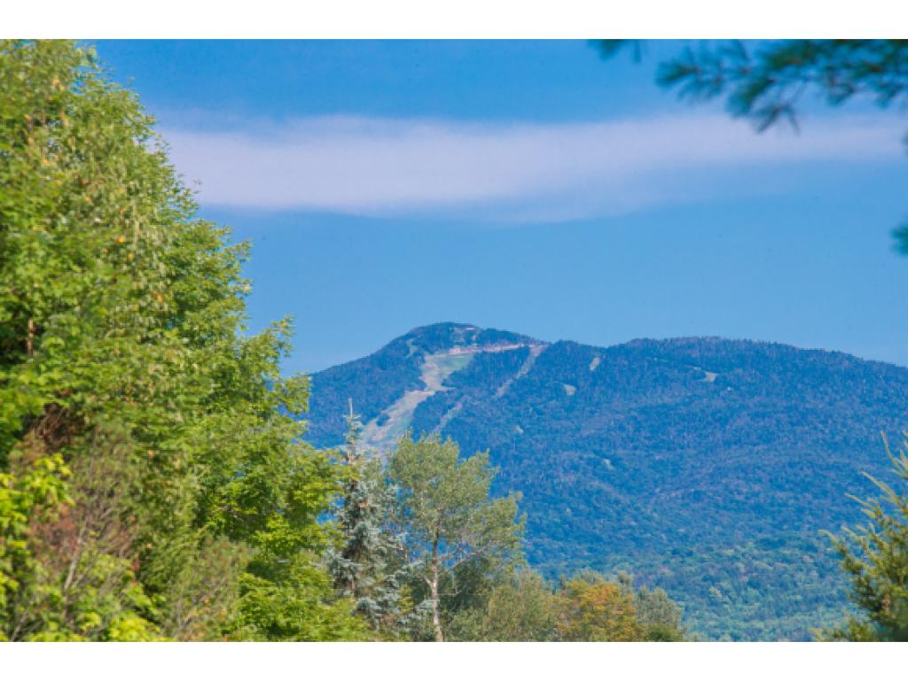 62 Garden Road, Unit 61 Stowe, VT 05672 - Photo 3 of 31