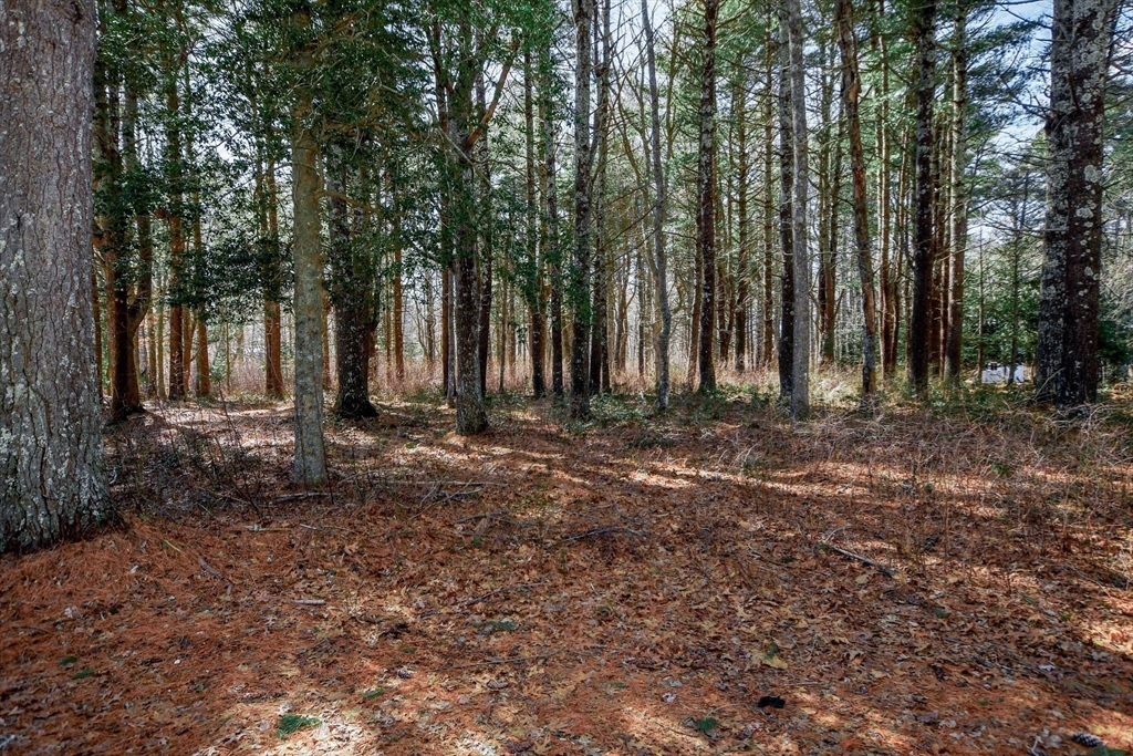 0 Register Road Marion, MA 02738 - Photo 2 of 18