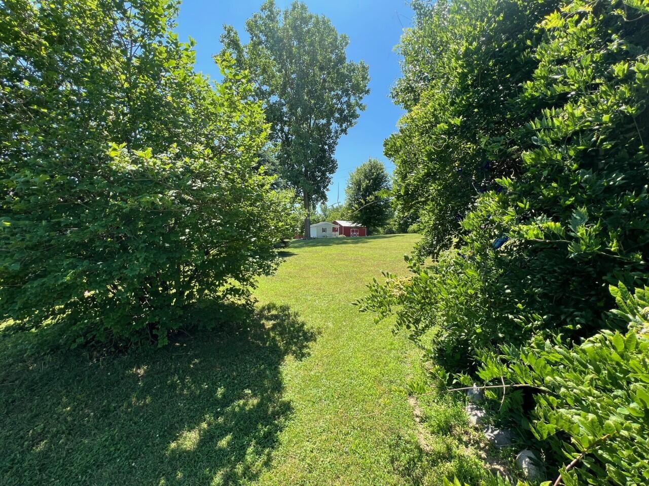 3951 Waldron Road North Adams, MI 49262 - Photo 64 of 104 thumbnail_IMG_9735