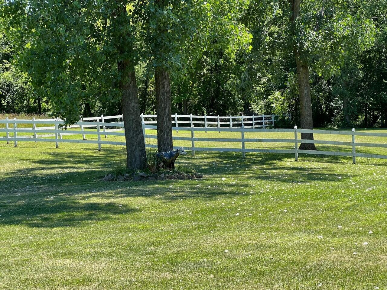 3951 Waldron Road North Adams, MI 49262 - Photo 68 of 104 thumbnail_IMG_9749