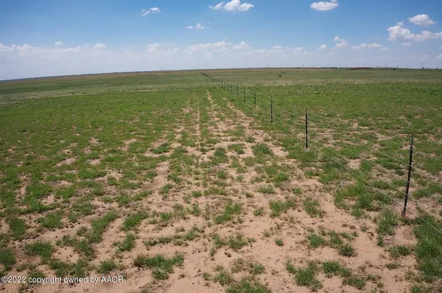 a view of a water with a yard