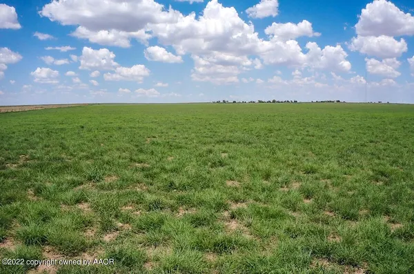 a view of a city of grass and a yard