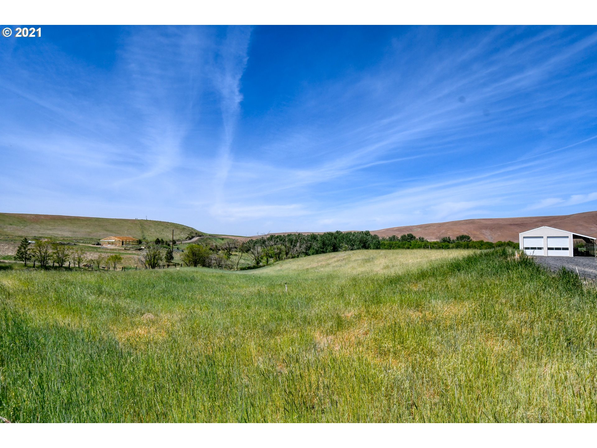 35773 Cunningham Road Echo, OR 97826 - Photo 8 of 30 a view of a lush green field